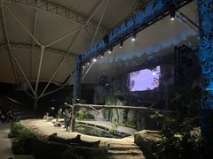 -夜间野生动物园