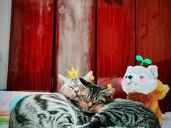 -沪公子·炭火蛙(303生活广场店)