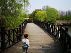 -自然谷恐龙园