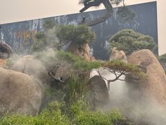 -罗红摄影艺术馆