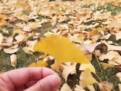 -白塘生态植物园