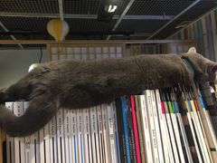 -小时光咖啡馆(开森度假森林店)
