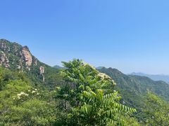 -大岭沟猕猴桃谷风景区