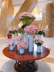 -英芬国际月子中心(岛屿度假月子·洲至奢选香岚店)