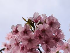 -新江湾城公园