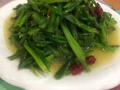 炒水性杨花-泸沽肴(泸沽湖大洛水村农村信用社旁店)
