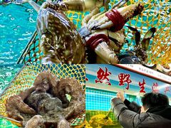 -坛南湾阿强农家乐.海鲜大排档老字号(福州地标美食店)