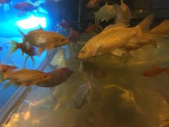 -中影国际影城(兰生大厦CINITY LED店)