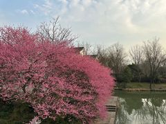 -西溪国家湿地公园