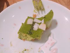 -柴务处·柴犬主题狗咖