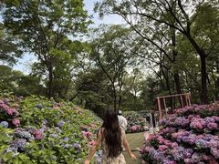 -沈阳植物园