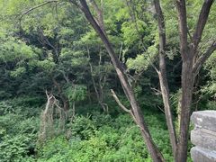 -北陵公园