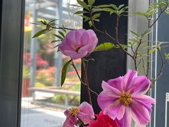 -轻武堂传统射箭·功夫茶·射击体验馆(仁和新城店)