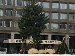 景点-北海道厅旧本厅舍(旧本庁舎)