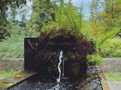 -鹿野苑石刻艺术博物馆