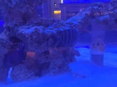 -上和臻品中国菜(花园街店)