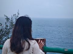 -广东惠东海龟国家级自然保护区