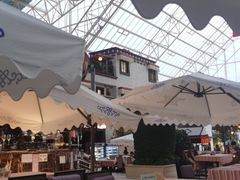 -拉萨圣地天堂洲际大饭店-自助餐厅