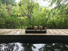 -和顺柏联温泉