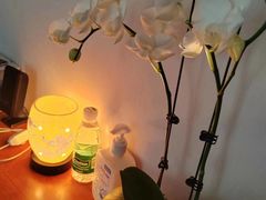 -逸栈养生SPA(望京店)