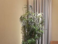 -羊门客在·烤盐池滩羊·川菜