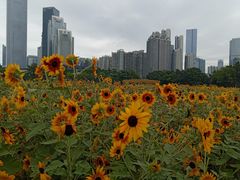 -海心沙亚运公园