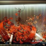 艳阳天美食打卡