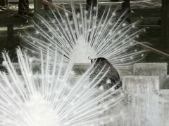 -南京金牛湖风景区