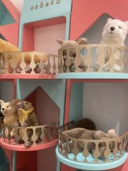 -奈尔宝家庭中心·亲子餐厅(前滩店)
