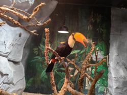 -Zoolung Zoolung动物主题公园(海信广场店)