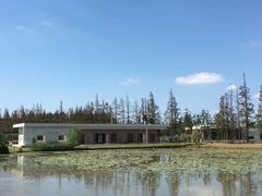 景点-上海长兴岛郊野公园