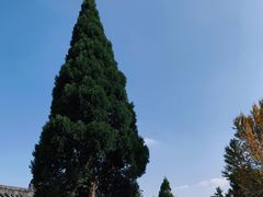 -金堂县云顶石城风景区