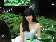-花之城
