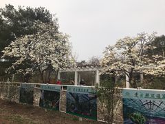 -国家植物园南园