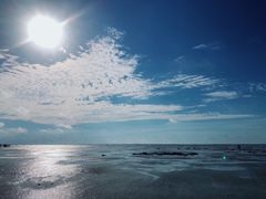 -北海金海湾红树林生态旅游区