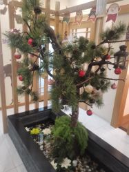 -芳朵美容养生SPA