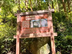 -雁荡山大龙湫景区