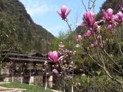 -车溪民俗旅游区