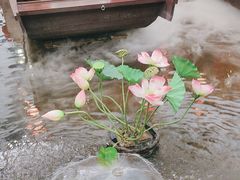 -特味村福园