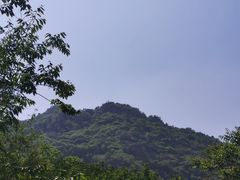 -北京鹫峰国家森林公园