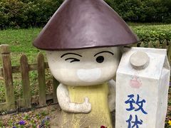 -上海都市菜园