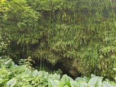 -海口火山口国家地质公园