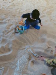 -恐龙探索乐园(磁器口店)