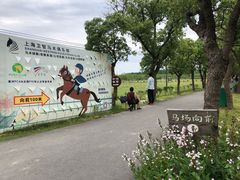 -上海长兴岛郊野公园