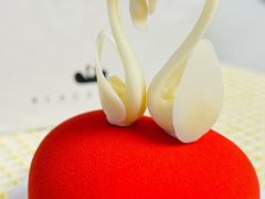 -BLACKSWAN黑天鹅(环球店)
