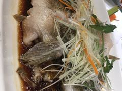 -骏莱海鲜鱼港(五角场店)