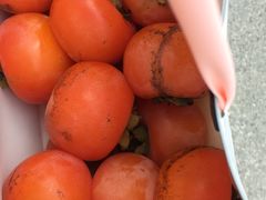 -侬佳蒸菜馆(听潮店)