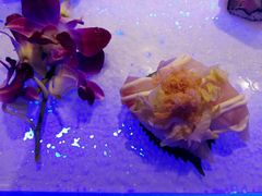 -亚马逊环球美食百汇(新城吾悦广场店)