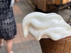 -富豪雪糕车流动点(尖沙咀店)