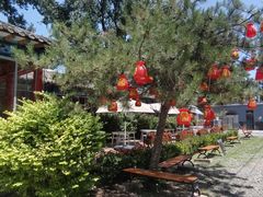-中卫御苑福膳·养生局(圆明园店)